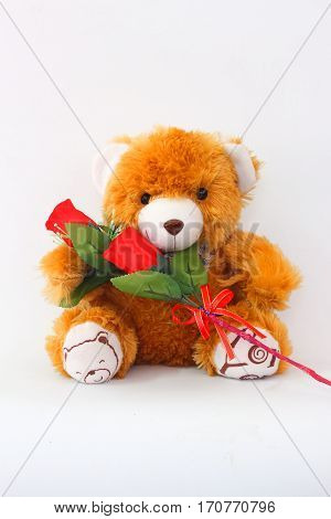 Brown teddy bears and red roses on a white background.