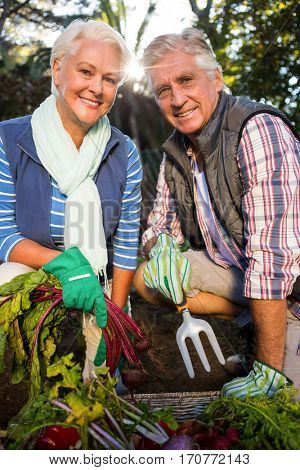 Portrait of happy mature couple gardeners with fresh produce in farm