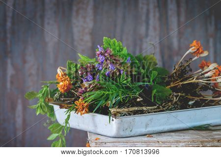 Assortment Of Fresh Herbs