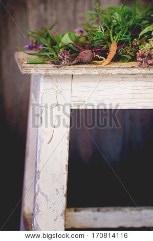 Herbs And Vegetables