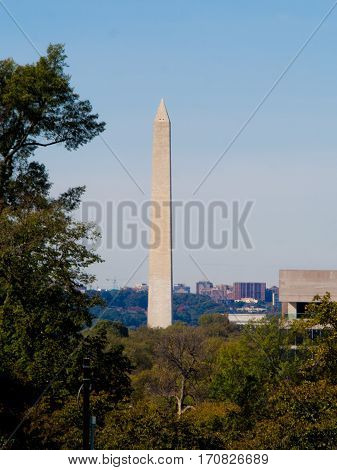 The Washington Monument with trees in foreground in Washington DC
