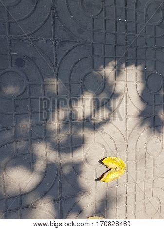 Yellow leaves on concrete block texture background