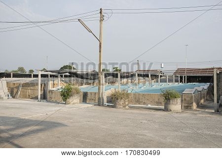 Aquatic farming concrete. Shrimp and fish hatchery business in Thailand.