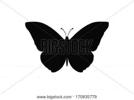 Butterfly silhouette vector icon isolated on white