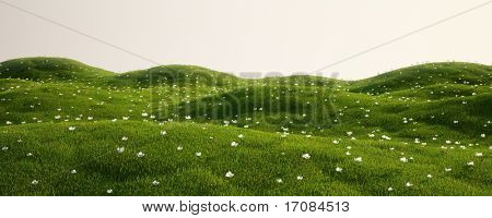 3D-kuvanluomista green field valkoisilla kukilla