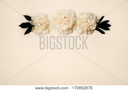 Decorative stylized card with white peonies flowers lying on beige paper texture. Beautiful Horizontal background With Copy Space for invitation congratulation. Top view Flat lay