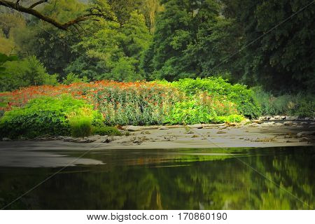 Idyllic river landscape with reddish plants and juicy green with reflection in the water