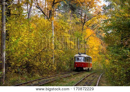 red tram rails on curves near the trees and grass