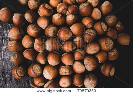 Heap Of Hazelnuts
