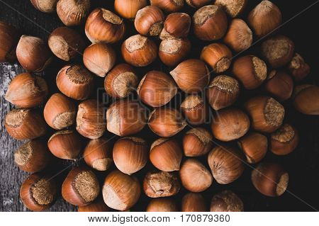 Heap Of Hazelnuts