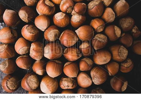 Heap Of Hazelnuts