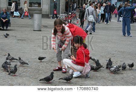 Netherlands Amsterdam june 2016: Pigeons on the Dam Square attracks many people