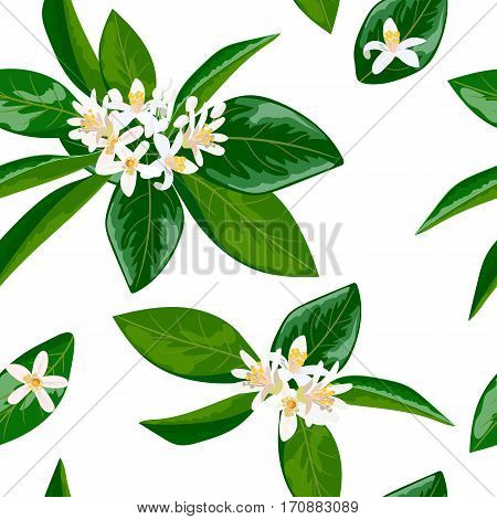 Neroli theme. fleur d'orange, Seamless pattern vector flowers and leaves. Bright and vivid. for decoration, cosmetics, prints, textile, banners, textile,