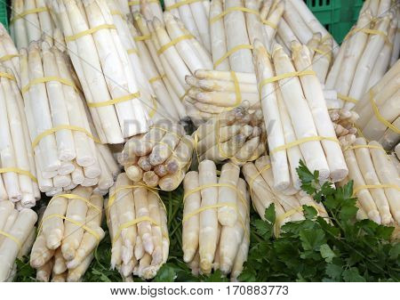White Asparagus For Sale In The Grocery Store