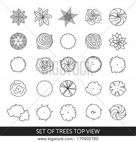 Set of trees. Top view. Vector graphic.