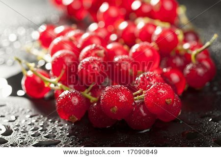 redcurrant มีหยดน้ำมากกว่าดำ