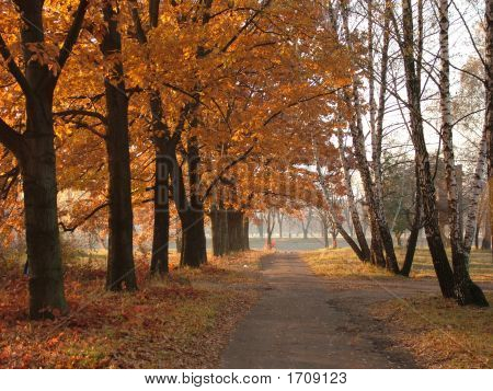 Gold des Herbstes