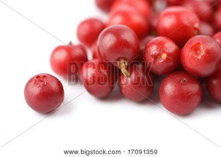 ripe cranberries isolated