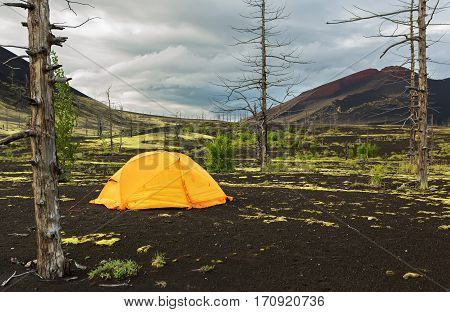 Tourist tent in Dead wood - a consequence of a catastrophic release of ash during the eruption of the volcano in 1975 Tolbachik