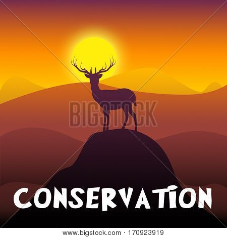 Wildlife Conservation Shows Animal Preservation 3D Illustration
