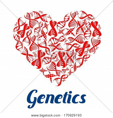 Heart composed of DNA helix. Love genetics poster with red models of DNA strands in a shape of human heart. Science, love and biotechnology themes design