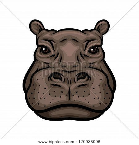 Hippo head cartoon icon. African hippopotamus mammal animal isolated symbol for wildlife themes, zoo sign, t-shirt print design