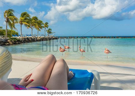 Young woman resting at Flamingo beach. Aruba island
