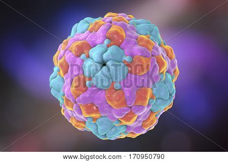 Human Parechovirus on colorful background, 3D illustration. Parechoviruses cause respiratory, gastrointestinal infections, are associated with brain damage and developmental disorders in neonates