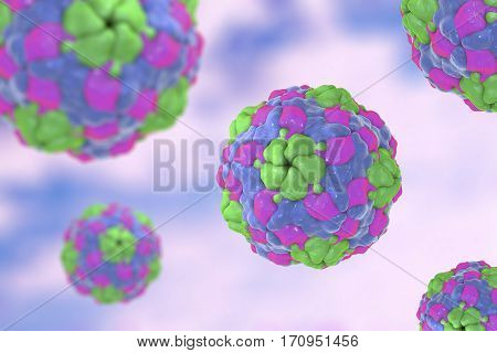 Human Parechovirus on colorful background, 3D illustration. Parechoviruses cause respiratory, gastrointestinal infections, are associated with brain damage and developmental disorders in neonates
