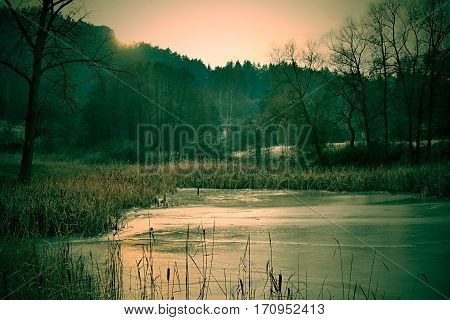 Creapy and haunted dark forest and lake at winter season.