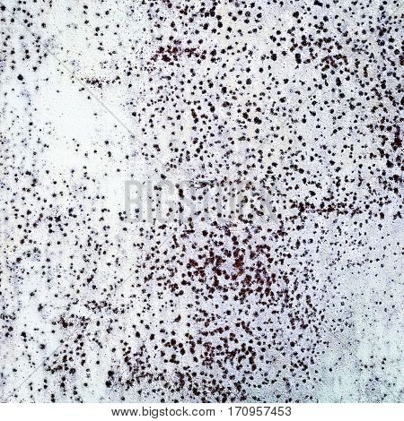 grunge texture. distress background. closeup of grune painted wall rough structure