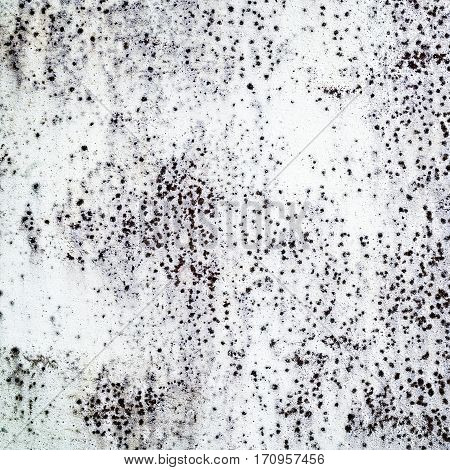grunge texture. distress background. closeup of grune painted wall rough structure
