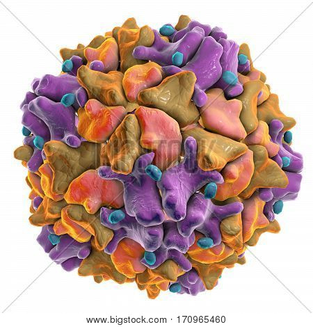 Poliovirus isolated on white background. A virus transmitted by drinking water and causing polio. 3D illustration