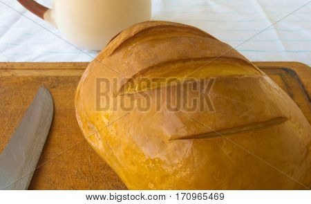 head of traditional Adygei cheese handmade with knife and a Cup of coffee on wooden Board