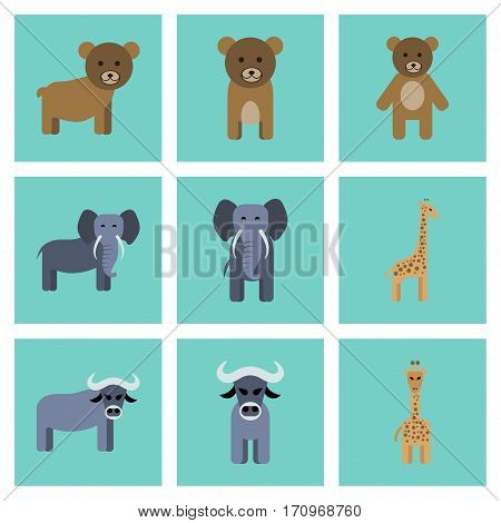 assembly of flat icons nature giraffe bull bear elephant