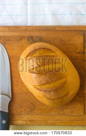 head of traditional Adygei cheese handmade with knife on wooden Board