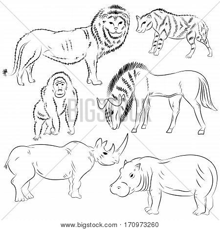 Hand Drawn African Wilde Animals. Doodle Drawings of Lion Stripped Hyena Gorilla Wildebeest Hippo and Rhinoceros. Sketch Style. Vector Illustration.