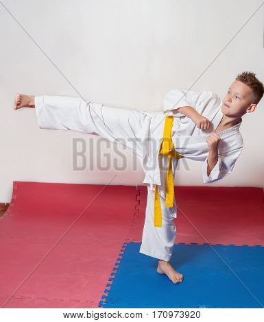 Children during training in karate. Fighting position active lifestyle