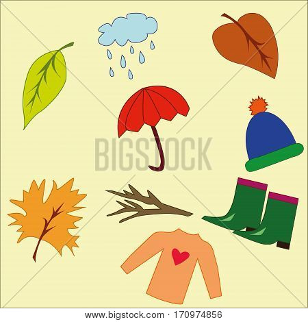 Autumn icon and objects set on orange background.