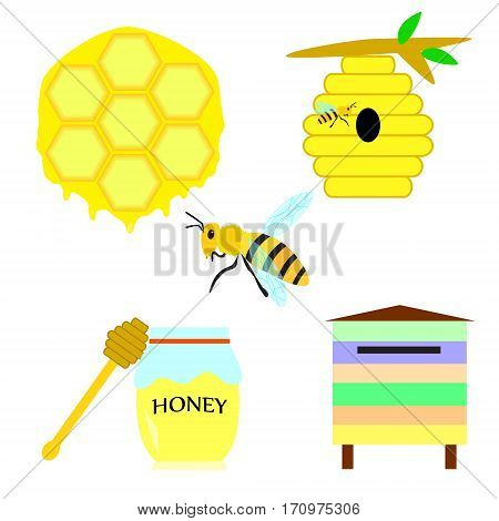 Bee and honey icon set. Vector illustration.