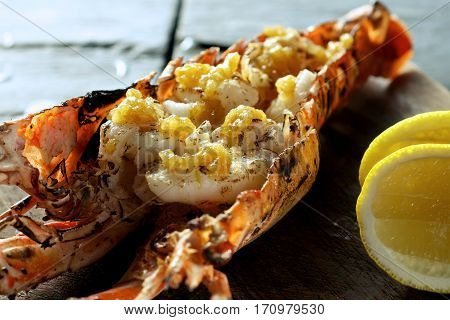 Lobster Prawn Food