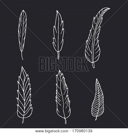 Hand drawn set of feathers on black background
