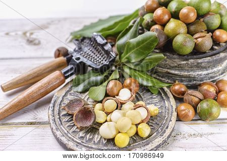 Macadamia nuts harvest close up in shell