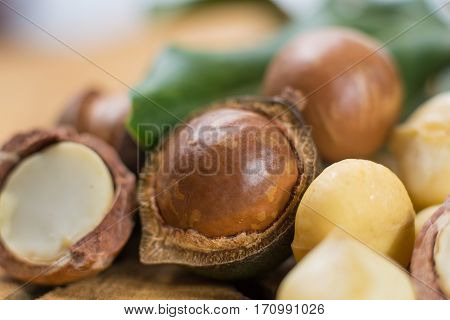 Macadamia nuts harvest close up in shell