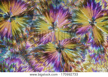 Colorful micro crystals through the microscope in polarized light