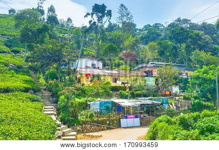 HAPUTALE SRI LANKA - NOVEMBER 30 2016: The residential houses in small settlement on the edge of town on November 30 in Haputale Sri Lanka