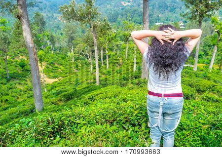 Tourist On Plantation