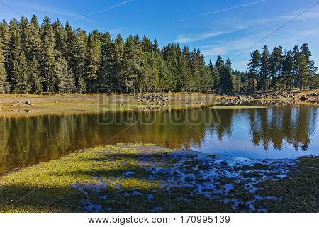 Landscape of Green forest of Shiroka polyana Reservoir, Pazardzhik Region, Bulgaria