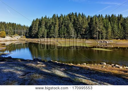 Landscape of Green forest of Shiroka polyana Reservoir, Pazardzhik Region, Bulgaria