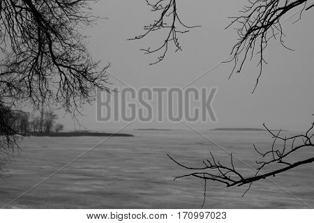 Embankment In Early Spring